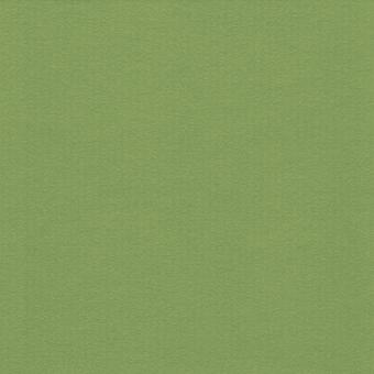 1,6 mm WhiteCore Passepartout mit individuellem Ausschnitt 24x30 cm | Maigrün